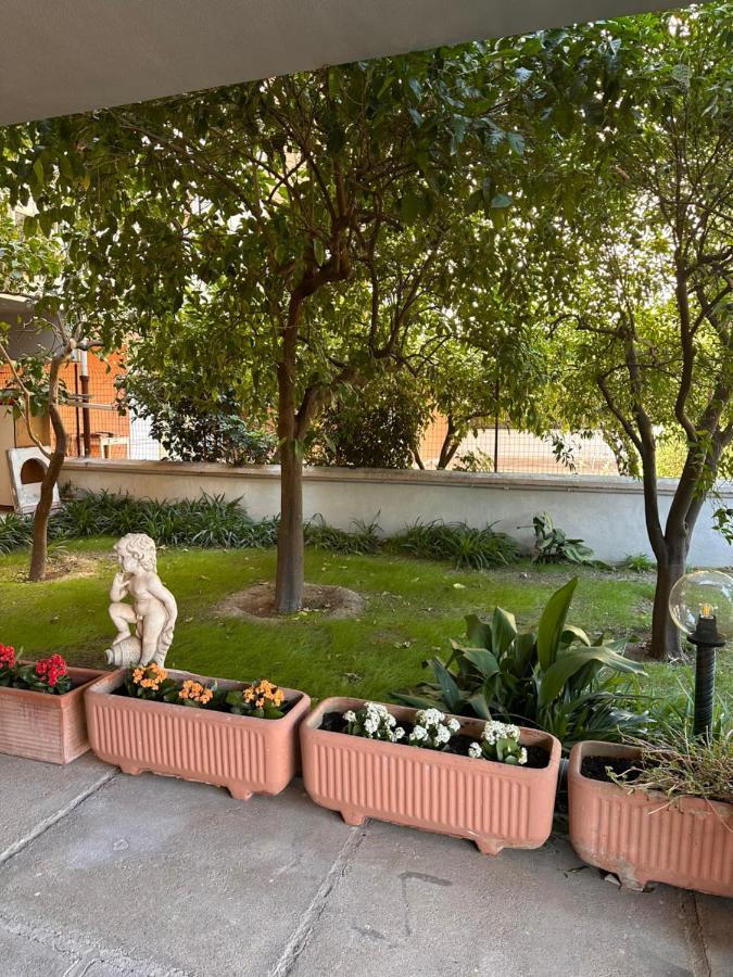 Ajoaolbia B&B Luaran gambar