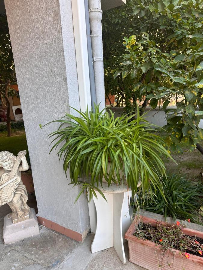 Ajoaolbia B&B Luaran gambar